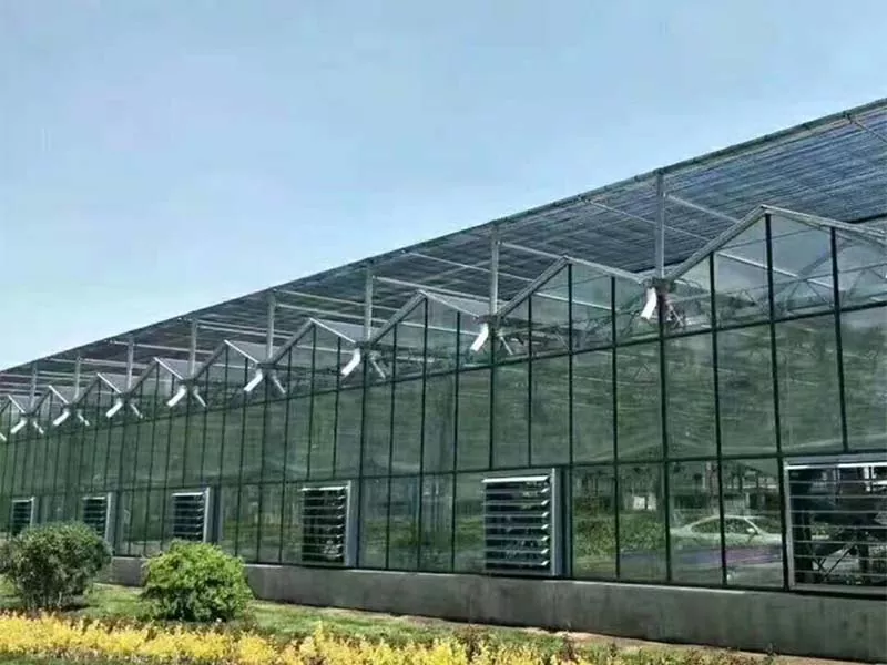 Was macht Steel Vertical Farm zur Zukunft einer nachhaltigen Landwirtschaft?