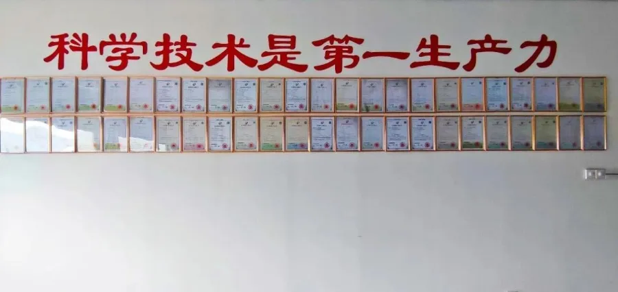 Woher kommt die „harte Wettbewerbsfähigkeit“ von Eihe Steel-Structure, das unter den Mitbewerbern in Qingdao auf Platz 1 steht?