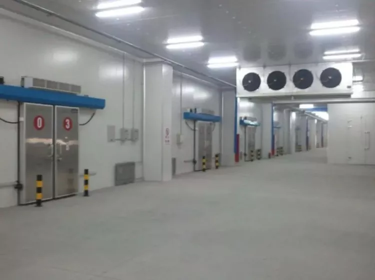 Vegetable Base Warehouse Steel Construction